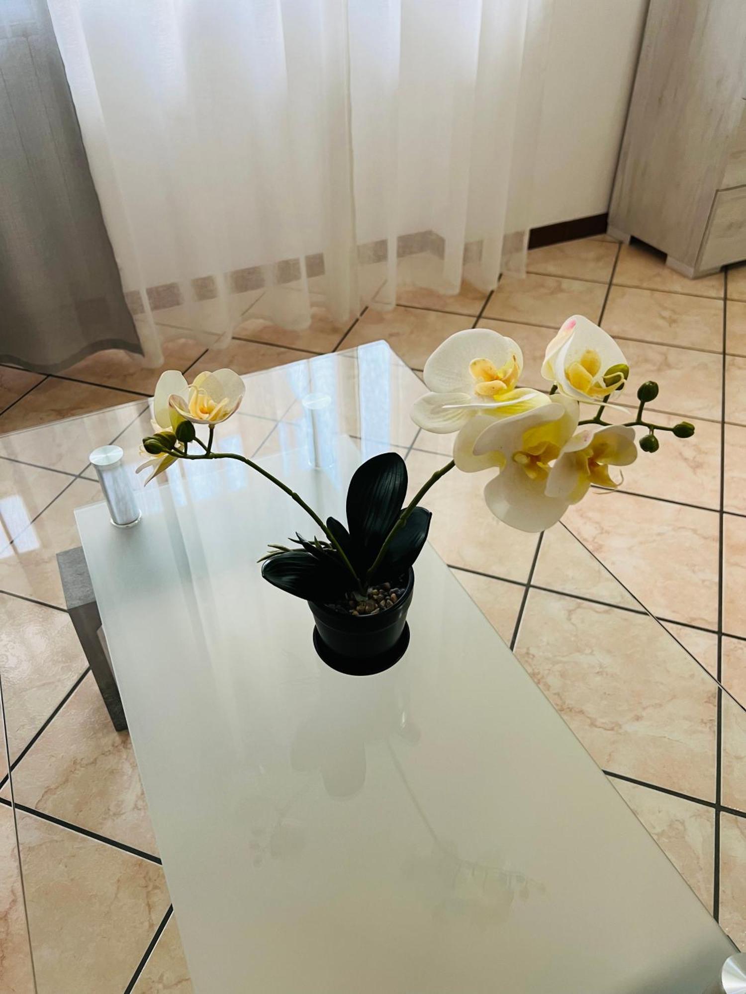 Casa Vacanza Elena 2 Verona Dış mekan fotoğraf